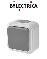 Выключатель А16-222(03) IP54 серая Выключатель А16-222(03) IP54 серая