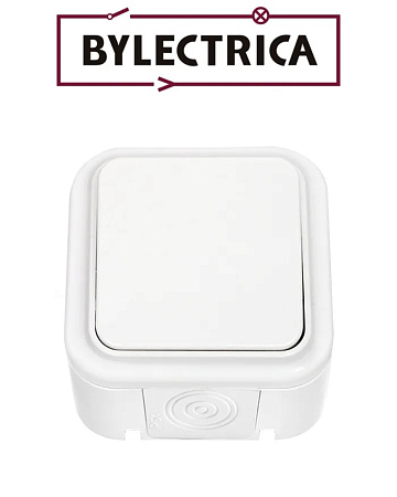 Выключатель А16-222 IP54 белая Выключатель А16-222 IP54 белая