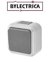 Выключатель А56-224(03) 2кл. IP54 серая Выключатель А56-224(03) 2кл. IP54 серая